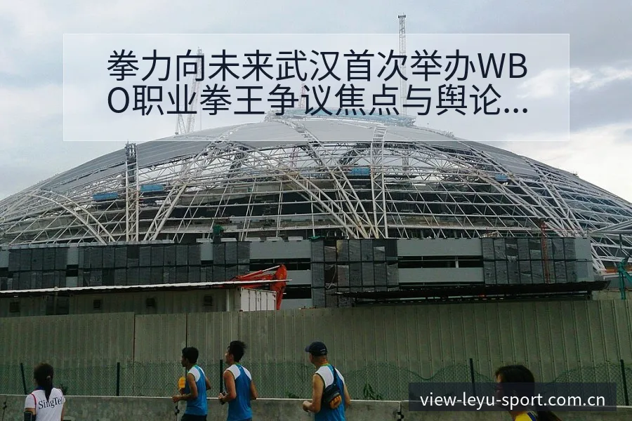 拳力向未来武汉首次举办WBO职业拳王争议焦点与舆论观察历 - 乐鱼